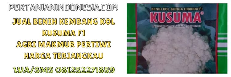 jual,jual benih kembang kol,jual benih kembang kol kusuma f1,murah,pertanian indonesia